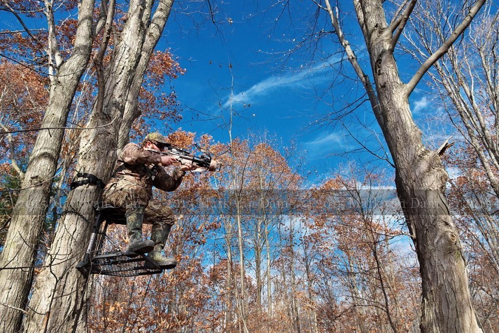 crossbow hunting photography [110515]A073