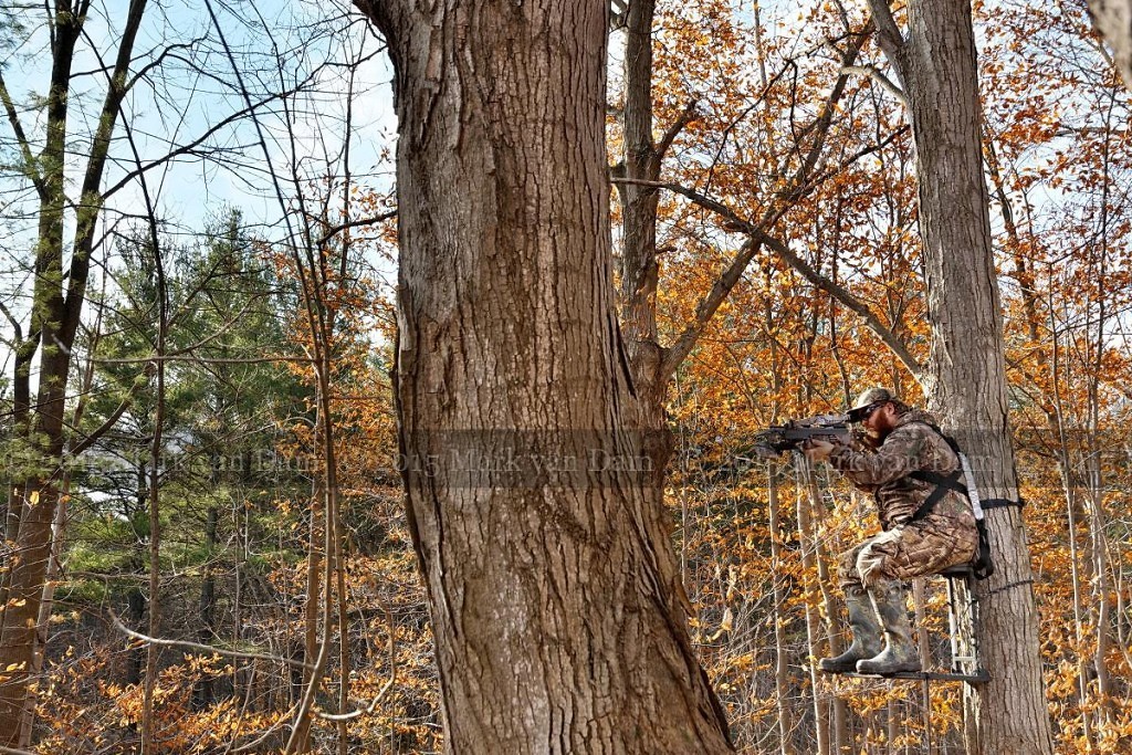 crossbow hunting photography [110515]A095