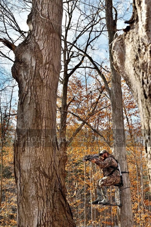 crossbow hunting photography [110515]A096