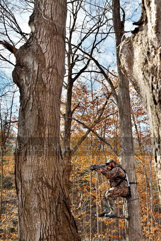 crossbow hunting photography [110515]A096