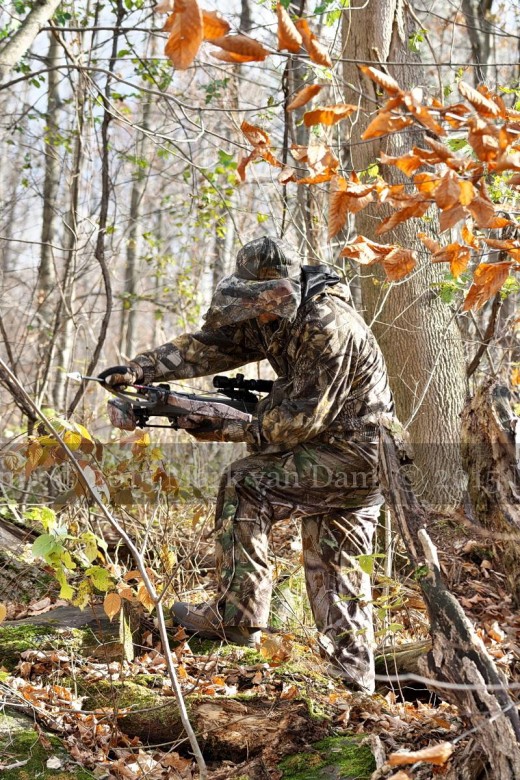 crossbow hunting photography [110515]B022