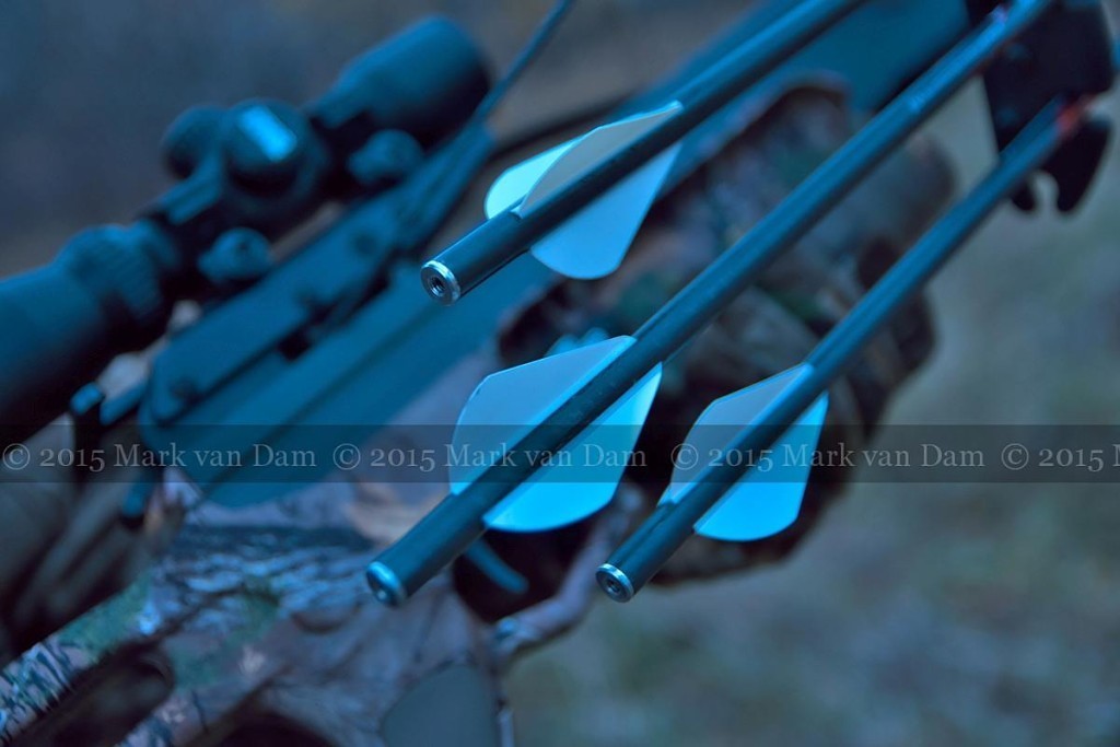 crossbow hunting photography [110515]C033 blue