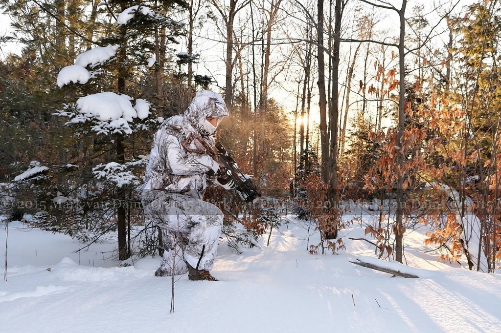 winter hunting photography A115