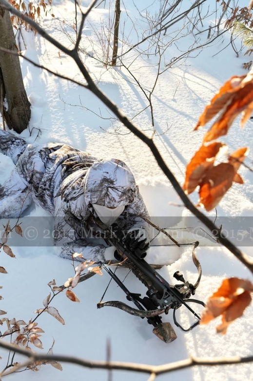 winter hunting photography A214