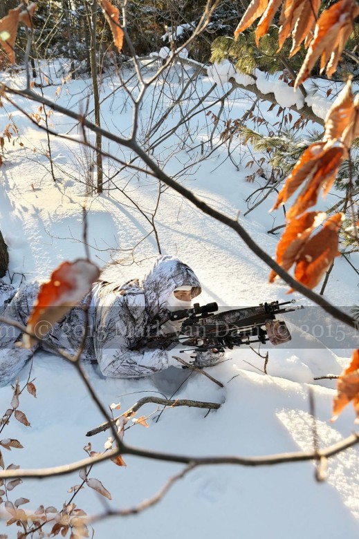 winter hunting photography A218