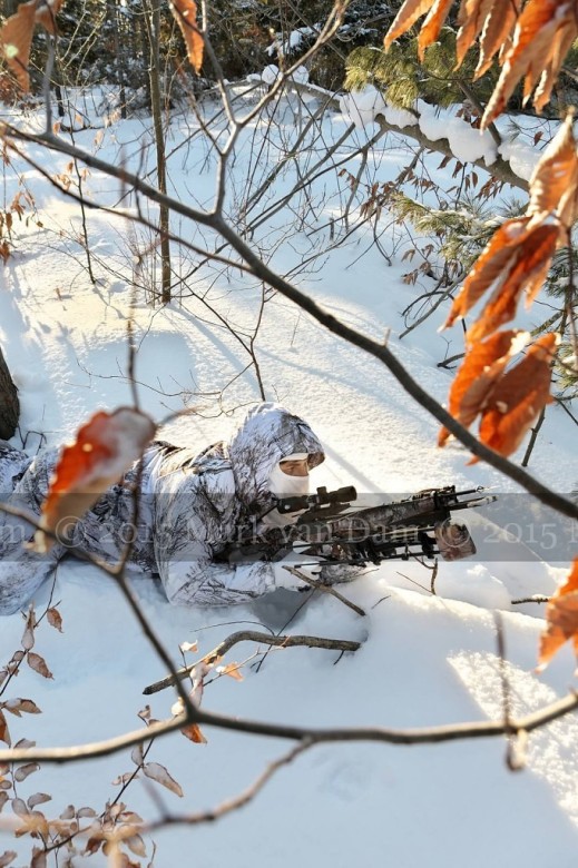 winter hunting photography A219
