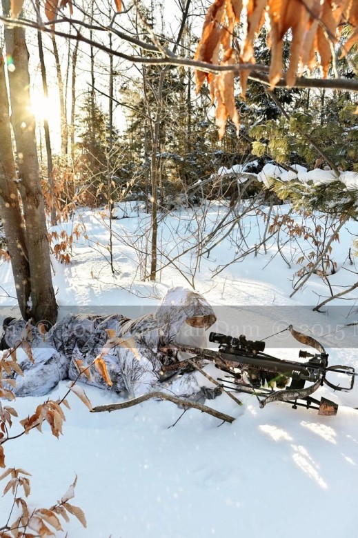 winter hunting photography A228