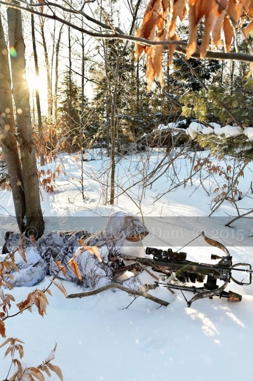 winter hunting photography A229