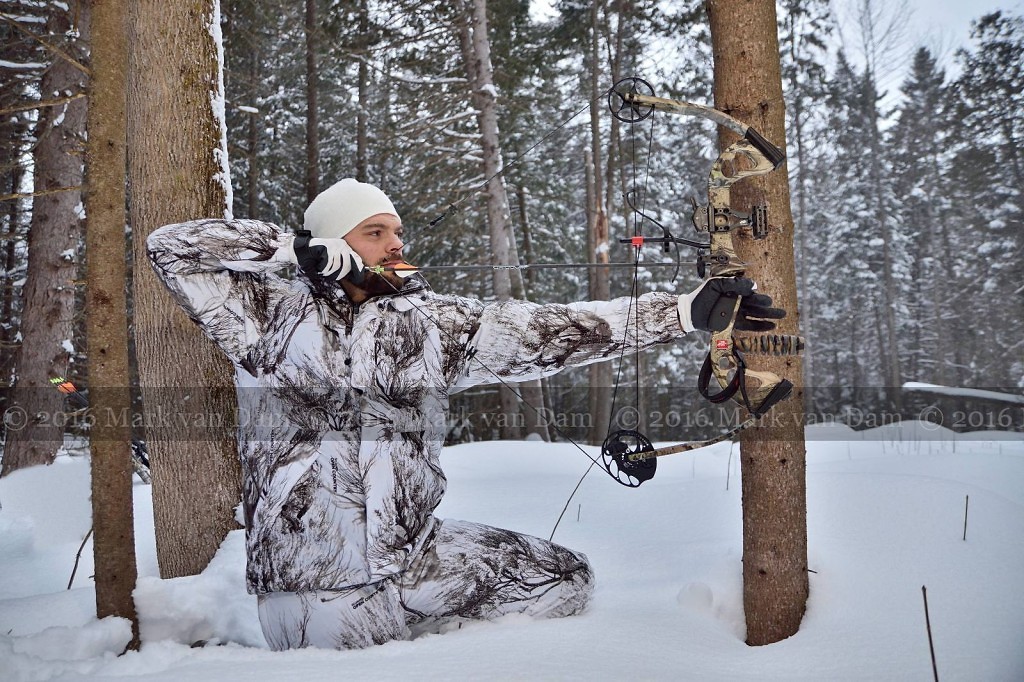 compound bow hunting photos winter A104