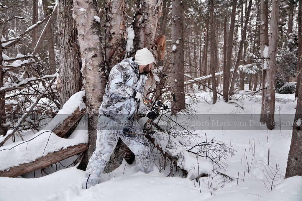 compound bow hunting photos winter A131