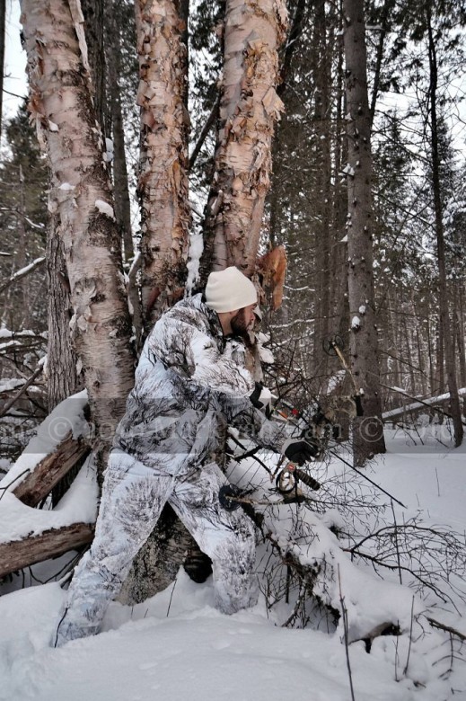 compound bow hunting photos winter A141