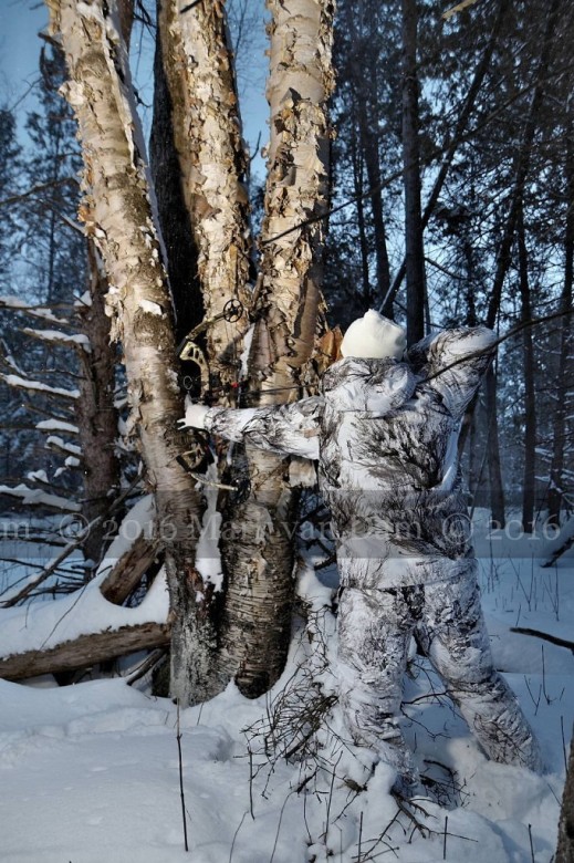 compound bow hunting photos winter A149