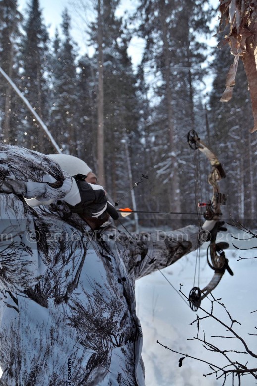 compound bow hunting photos winter A151