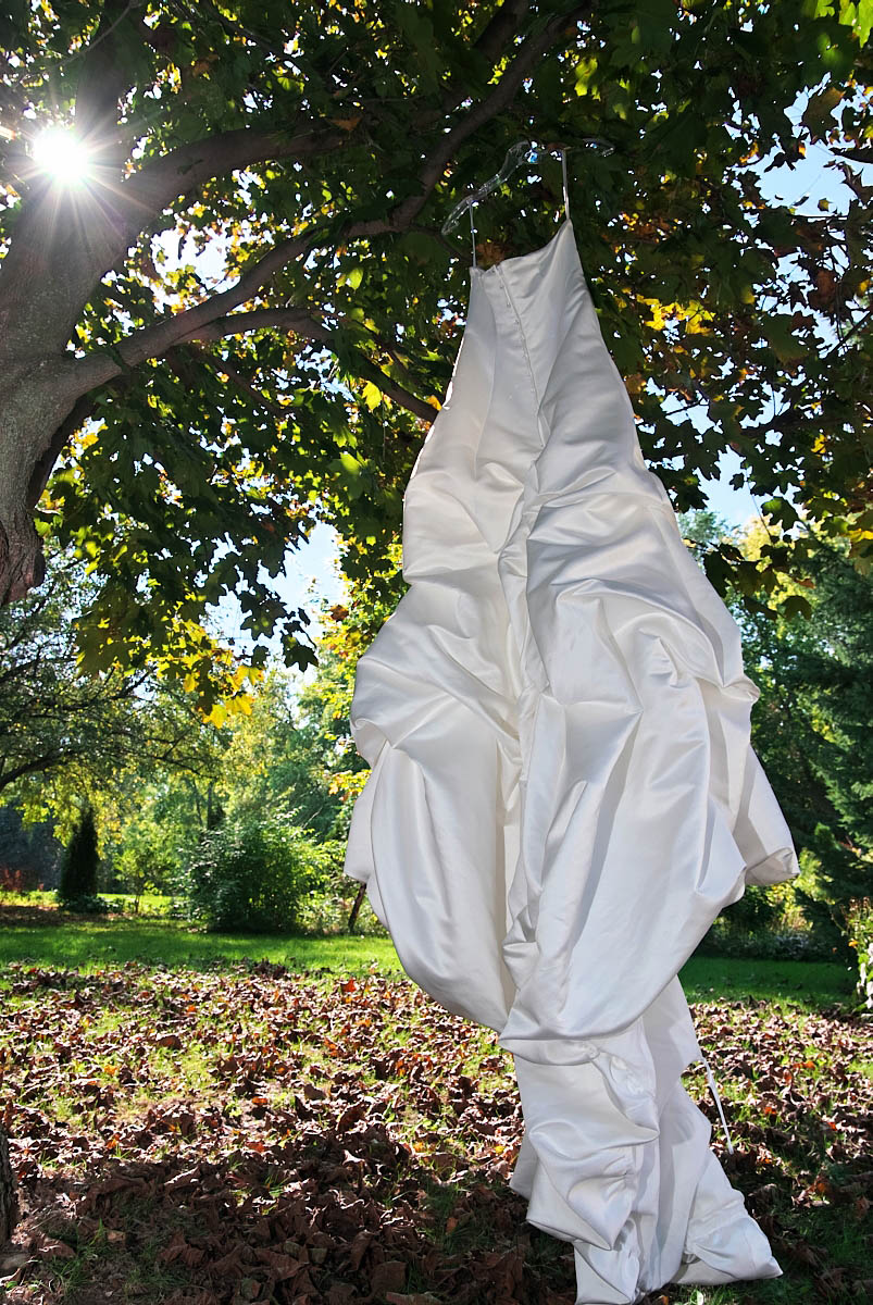 wedding dress hanging in maple tree
