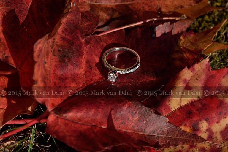 engagement ring on red maple leaf