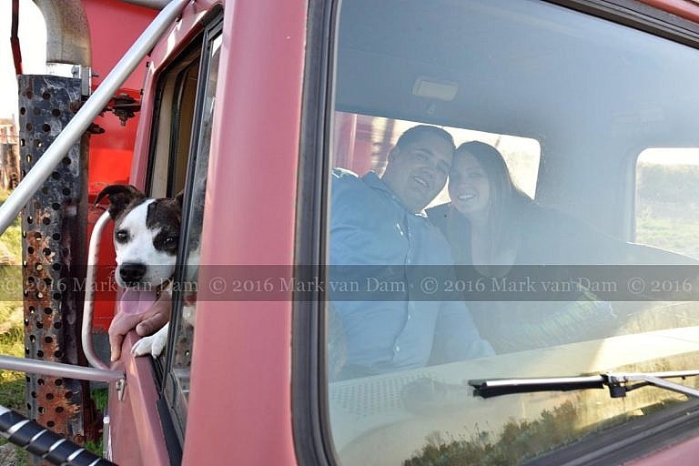 happy dog leans out side of truck with owners inside in background