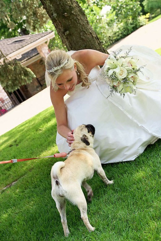 barrie wedding photographer bride pets cute dog