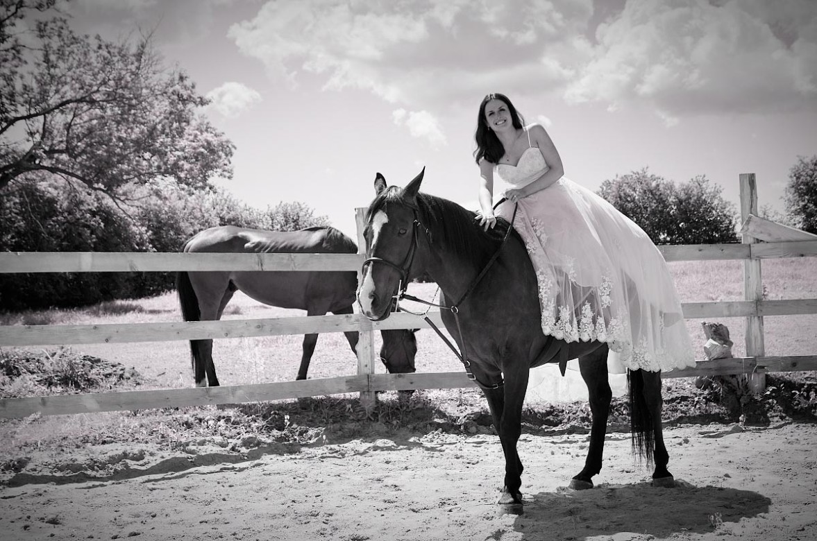 bride with horse 10