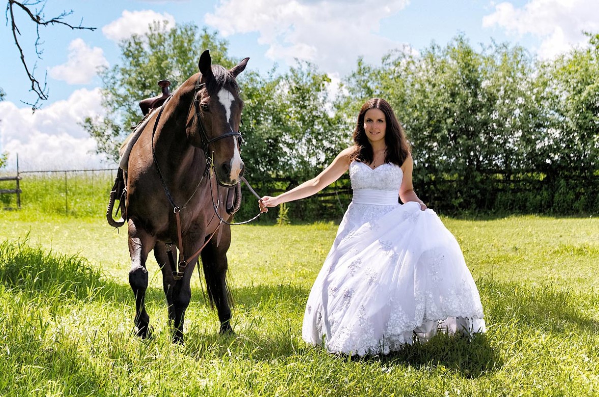 bride with horse 5