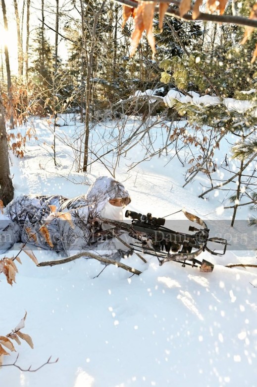winter hunting photography A225