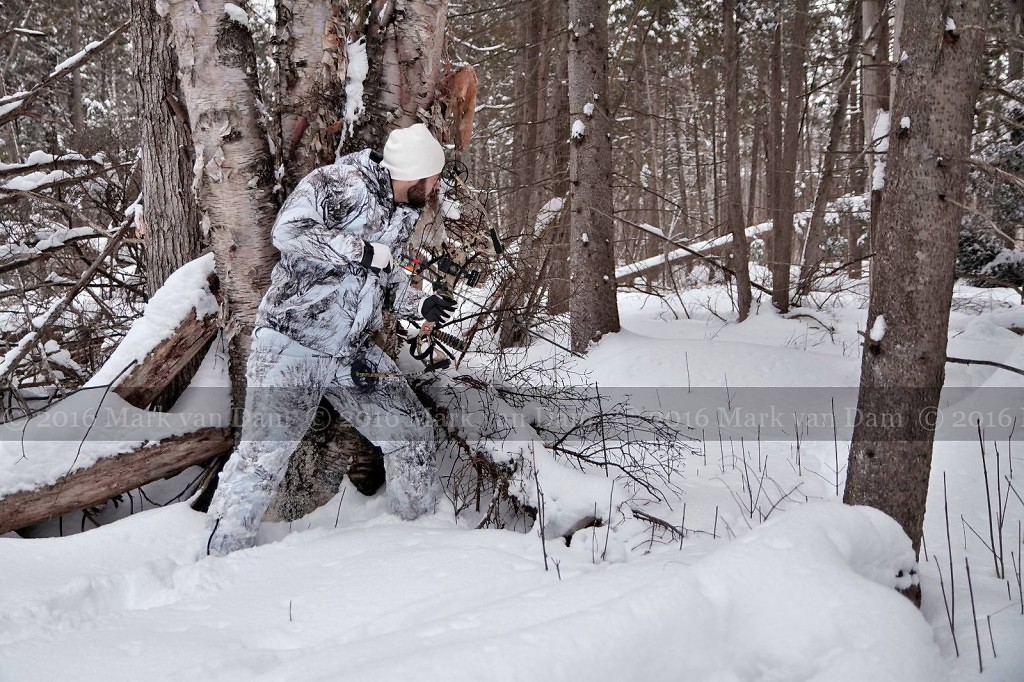 compound bow hunting photos winter A133