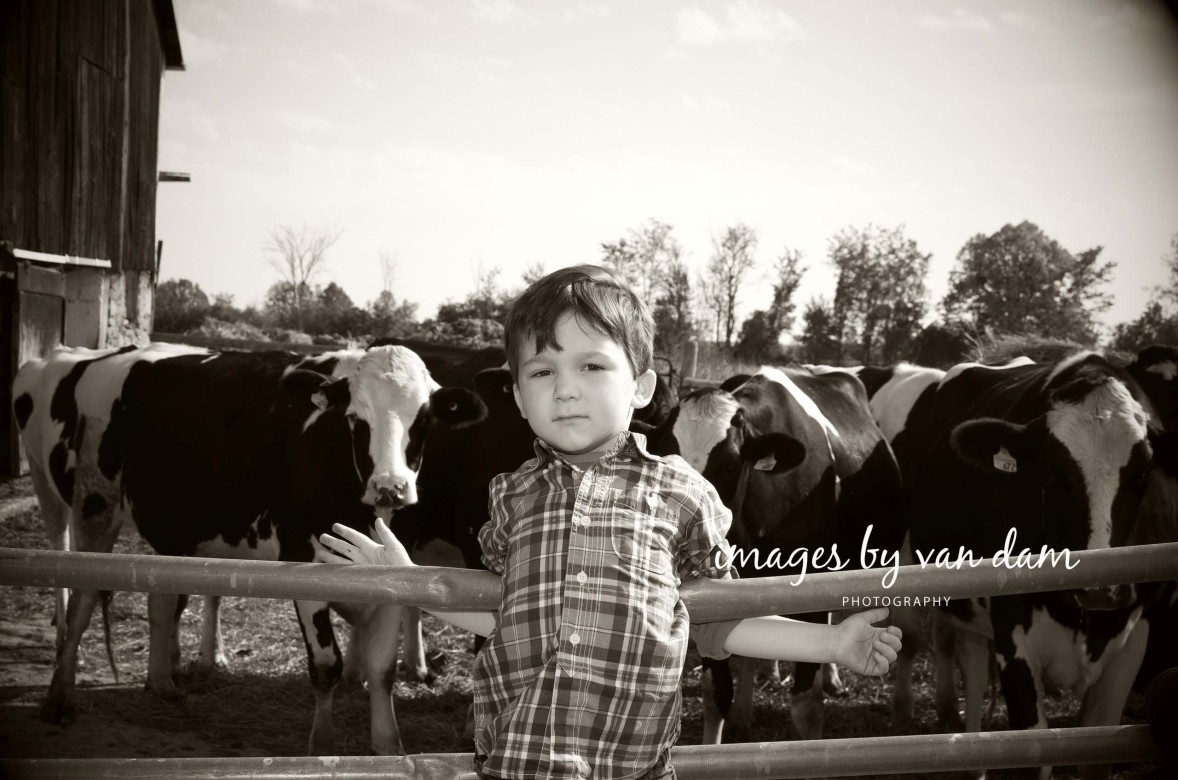 barrie stayner wasaga collingwood blue mountain family farm photography country portraits 29