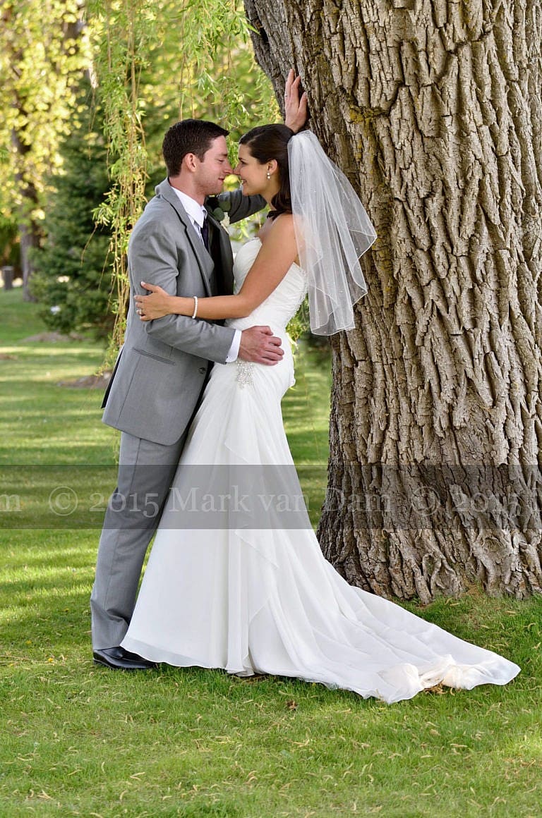 Collingwood photographer, wedding couple shares a moment beneath giant willow trees at Cranberry Resort Bear Estate Living Waters wedding