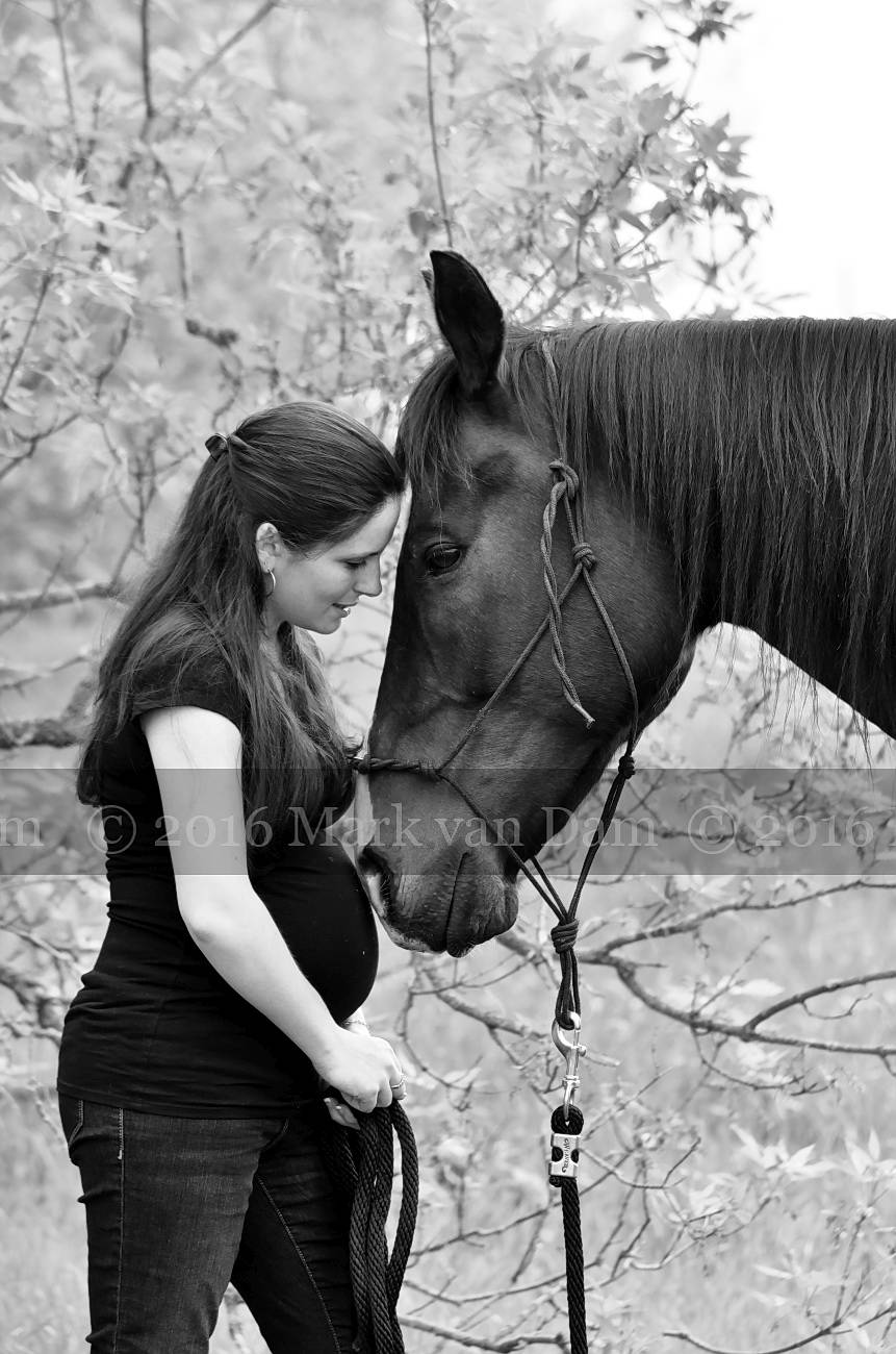 beautiful young pregnant mother with her horse