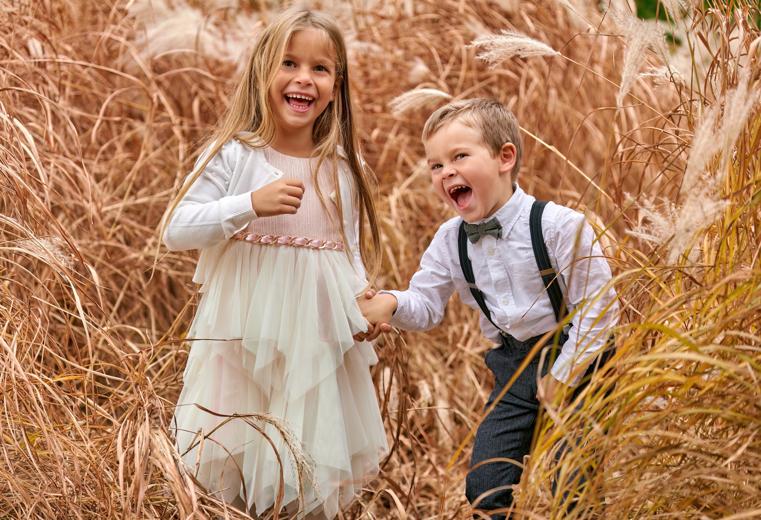 Young brother and sister laughing hysterically in tall grass at Barrie Family Portait Session